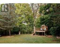 297 ALMA STREET - 39