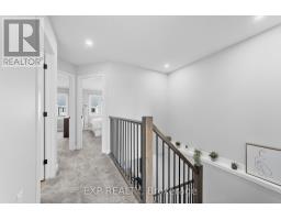 43 - 17 NICHOLSON STREET - 21