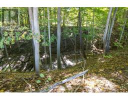 22560 TROOPS ROAD - 5