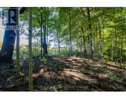 22560 TROOPS ROAD - 6