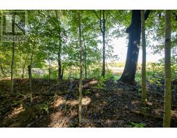 22560 TROOPS ROAD - 7