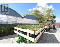 5101 DUNDAS STREET - 2