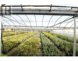 5101 DUNDAS STREET - 7