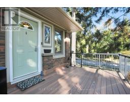 281 CATHCART STREET - 3