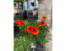 67 PEACH TREE BOULEVARD - 23