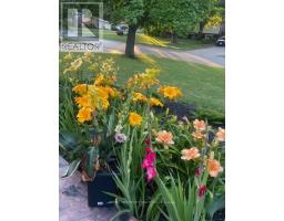 71 SUNRAY AVENUE - 48