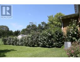 237A STELLA AVENUE - 32