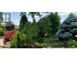 23 BIRCHCREST DRIVE - 43