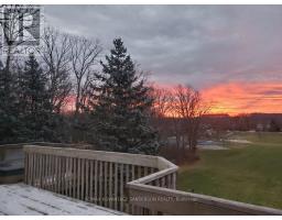 23 BIRCHCREST DRIVE - 46