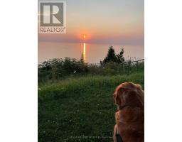 33736 STAFFA ROAD - 43