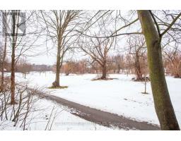 36 GRAYDON STREET - 3