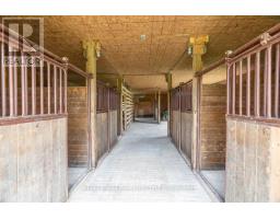 25728 MCMURCHY LINE - 38