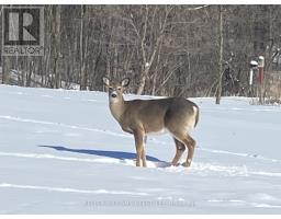 25728 MCMURCHY LINE - 42