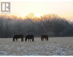 25728 MCMURCHY LINE - 44