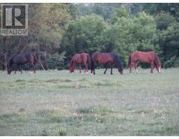 25728 MCMURCHY LINE - 7