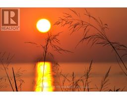 10328 PINETREE DRIVE - 15