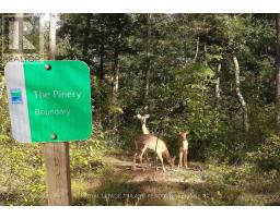 10328 PINETREE DRIVE - 20