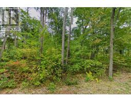 10328 PINETREE DRIVE - 5