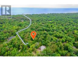 10328 PINETREE DRIVE - 6