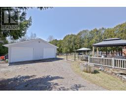 43409 SPARTA LINE - 3