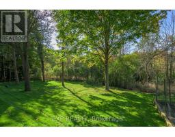 43 GLENRIDGE CRESCENT - 36