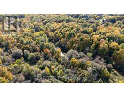 43 GLENRIDGE CRESCENT - 4