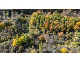 43 GLENRIDGE CRESCENT - 47