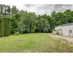 56741 EDEN LINE - 41