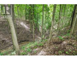 56741 EDEN LINE - 43