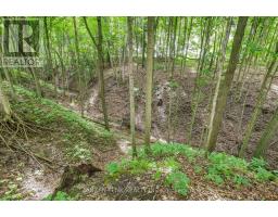 56741 EDEN LINE - 44