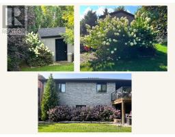 21 BELMONT AVENUE - 50