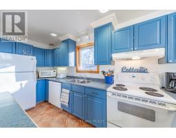 28 ELMWOOD AVENUE - 3