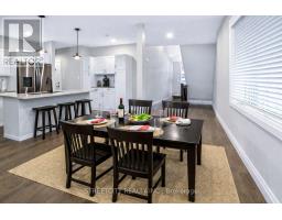 56 COMPRESS TRAIL - 10