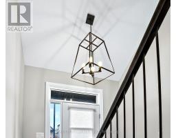 56 COMPRESS TRAIL - 15