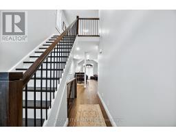 56 COMPRESS TRAIL - 16