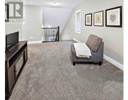 56 COMPRESS TRAIL - 18