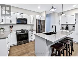 56 COMPRESS TRAIL - 2