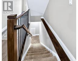 56 COMPRESS TRAIL - 25