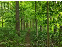 38803 TALBOT LINE - 9