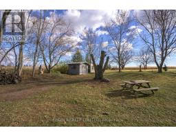 39349 FINGAL LINE - 11