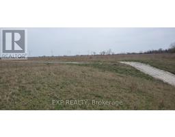 11 IRENE CRESCENT - 4