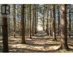 6646 LAKESHORE ROAD - 10