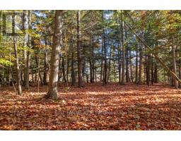 6646 LAKESHORE ROAD - 11