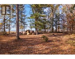 6646 LAKESHORE ROAD - 4