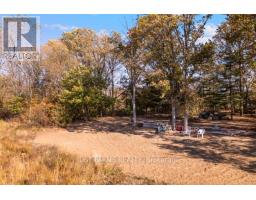 6646 LAKESHORE ROAD - 5