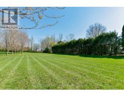 653 PETER STREET - 41