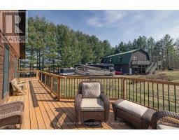 14653 CURRIE ROAD - 23