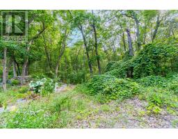 10142 PINERY BLUFFS ROAD - 9