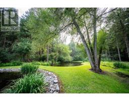 10608 LONGWOODS ROAD - 34