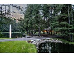 10608 LONGWOODS ROAD - 5